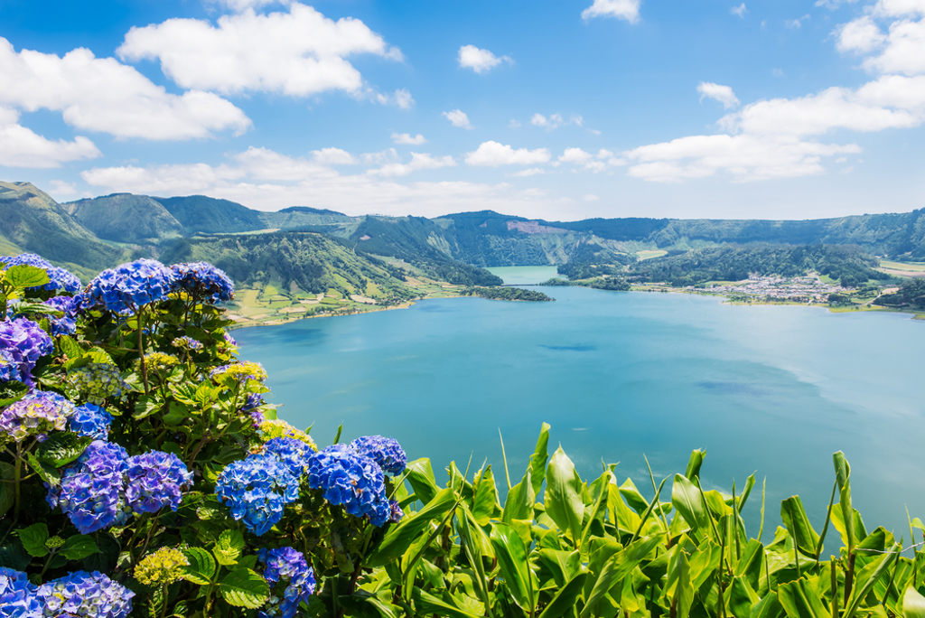 Uitzicht over het kratermeer Lagoa das Sete Cidades op de Azoren, met hortensia’s op de voorgrond.