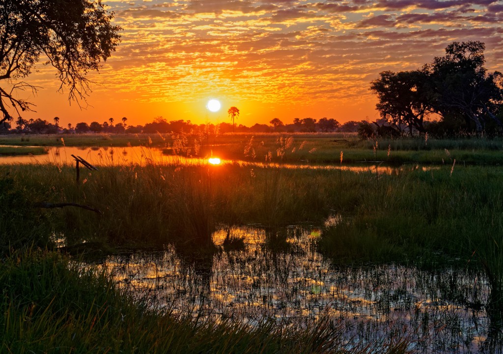 Zonsondergang boven een rivierdelta met riet en silhouetten van bomen tijdens groepsrondreis Zuidelijk Afrika.