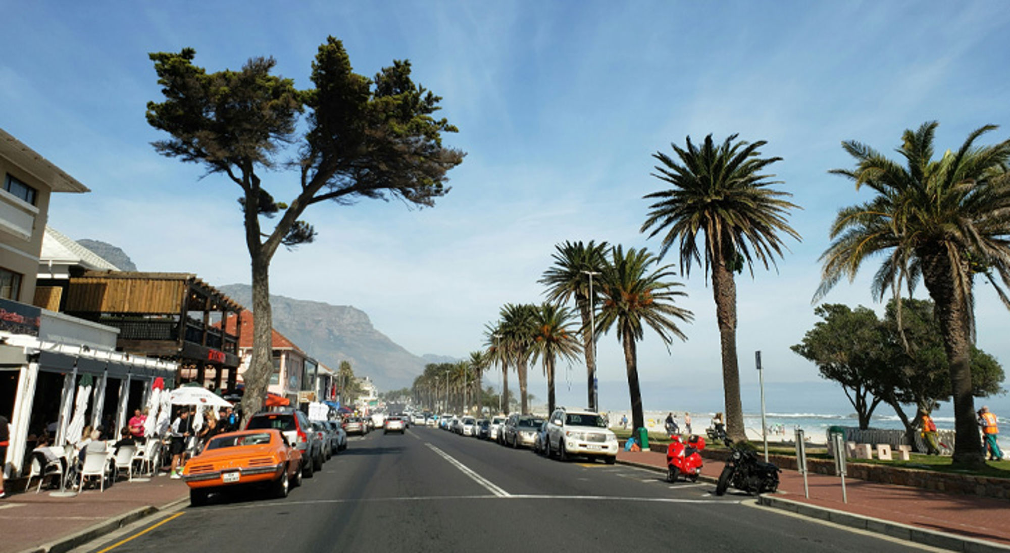 Palmboomrijke boulevard langs het strand in Kaapstad, met uitzicht op de Tafelberg.