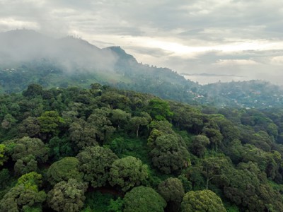 Mistig berglandschap met dicht regenwoud tijdens de route Kenia & Tanzania.