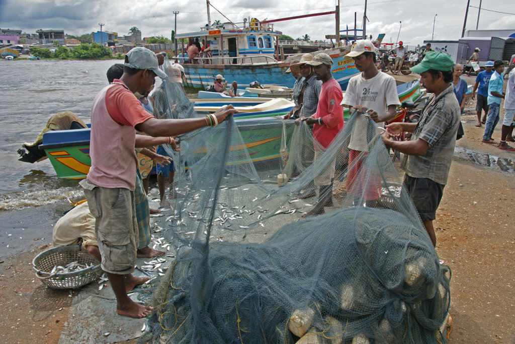 Vissers halen netten met vangst binnen bij kleurrijke boten in een haven in Sri Lanka.