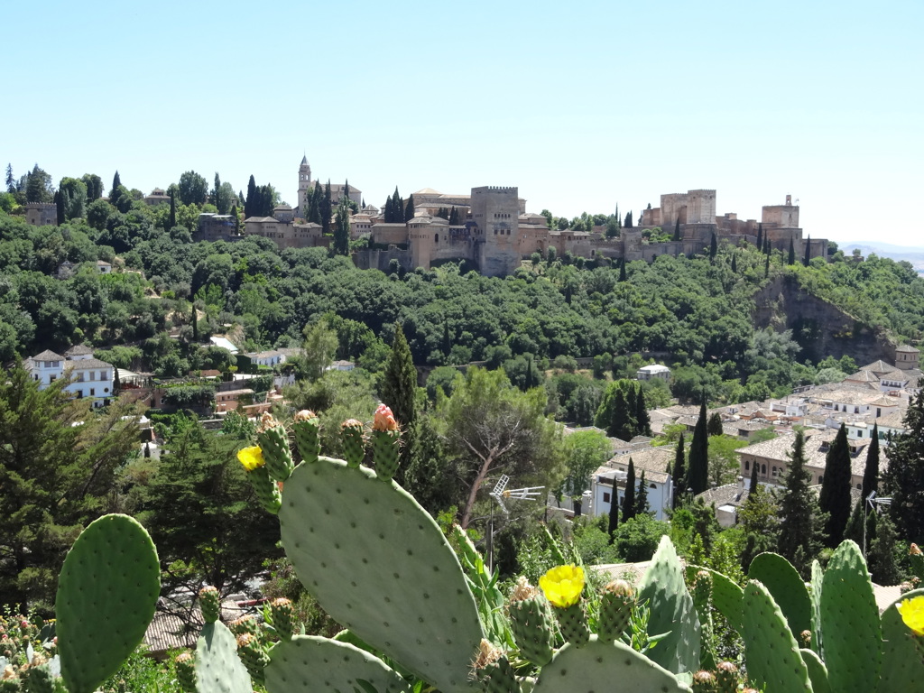 Uitzicht op het Alhambra in Granada met cactussen op de voorgrond tijdens een groepsrondreis door Andalusië.