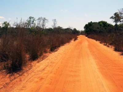 Zandweg door droog struiklandschap in Madagascar tijdens de 25-daagse rondreis.