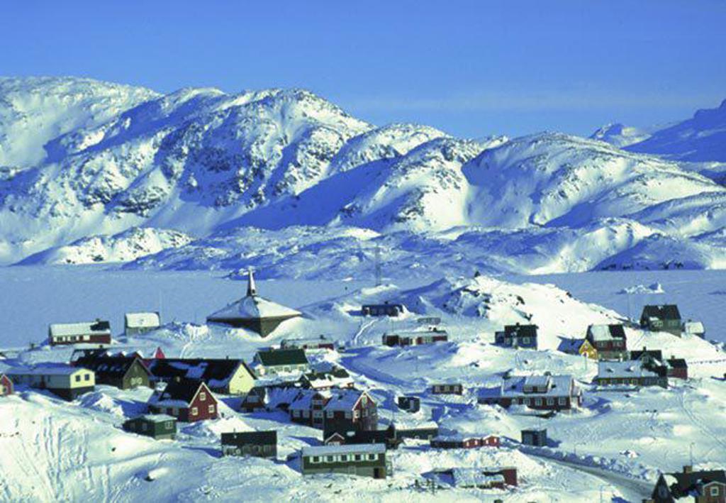 IJsbeer op sneeuwveld in het poolgebied tijdens groepsrondreis Spitsbergen, Groenland en IJsland.