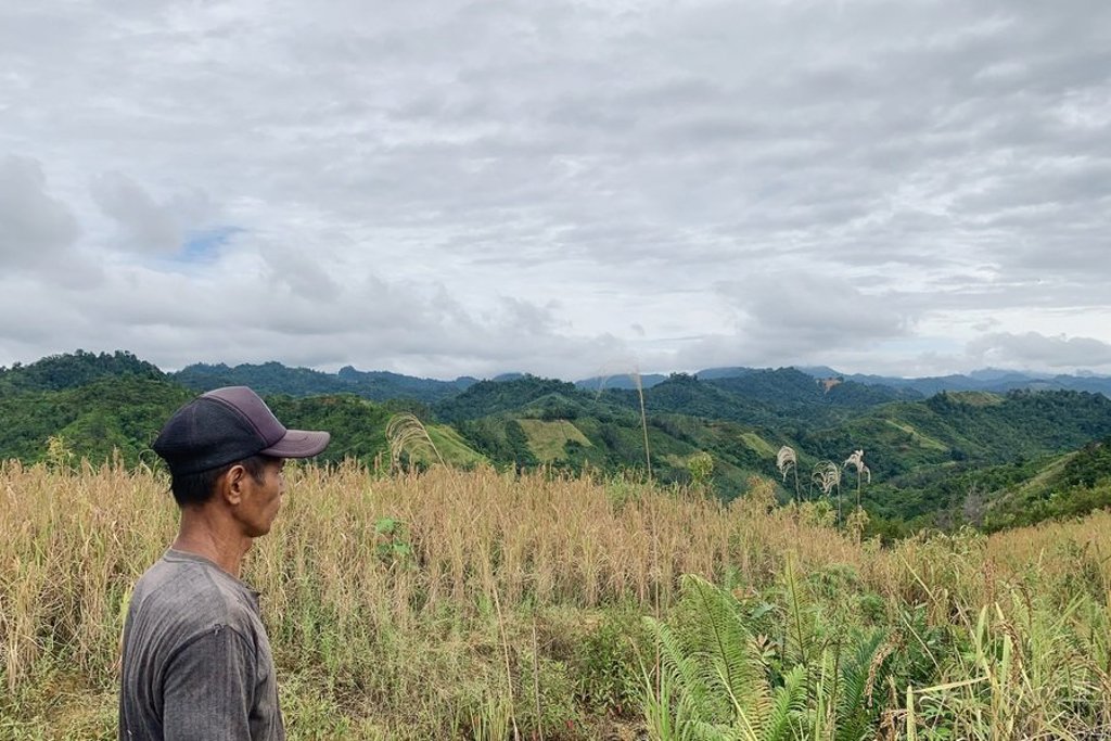 Groepsrondreis West-Maleisië & Borneo: groen regenwoudlandschap met bergen op de achtergrond.