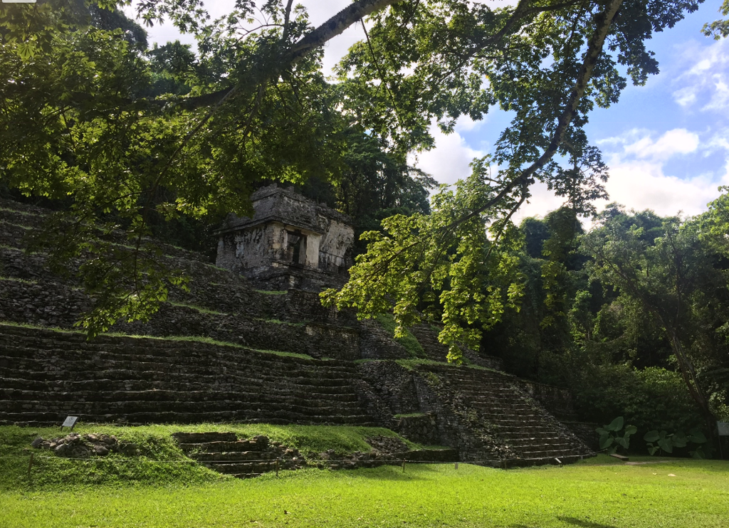 Maya-tempelruïnes in het regenwoud van Palenque, Mexico.