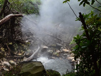 Stomende warmwaterbron in het regenwoud van Costa Rica tijdens Route Costa Rica .