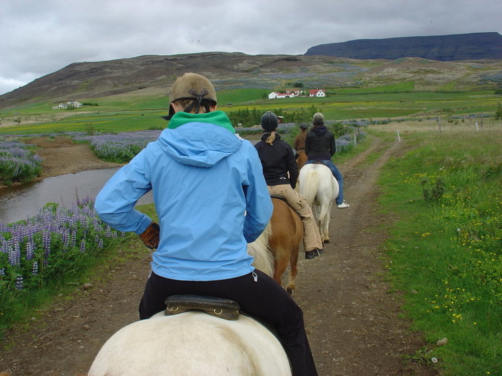 Ruiters op IJslandse paarden rijden door groen landschap met bergen tijdens groepsrondreis IJsland.