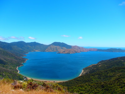 Uitzicht over Queen Charlotte Sound met groene heuvels en blauwe baai in Nieuw-Zeeland.