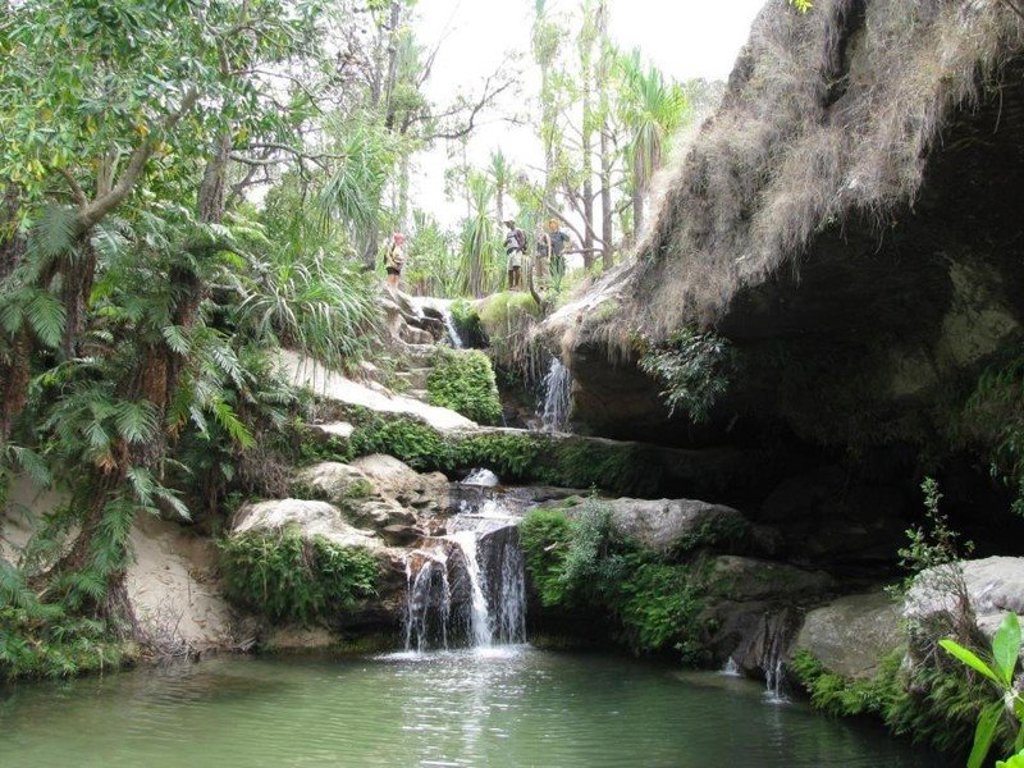 Baobabbomen in het landschap van Madagascar tijdens een groepsrondreis.