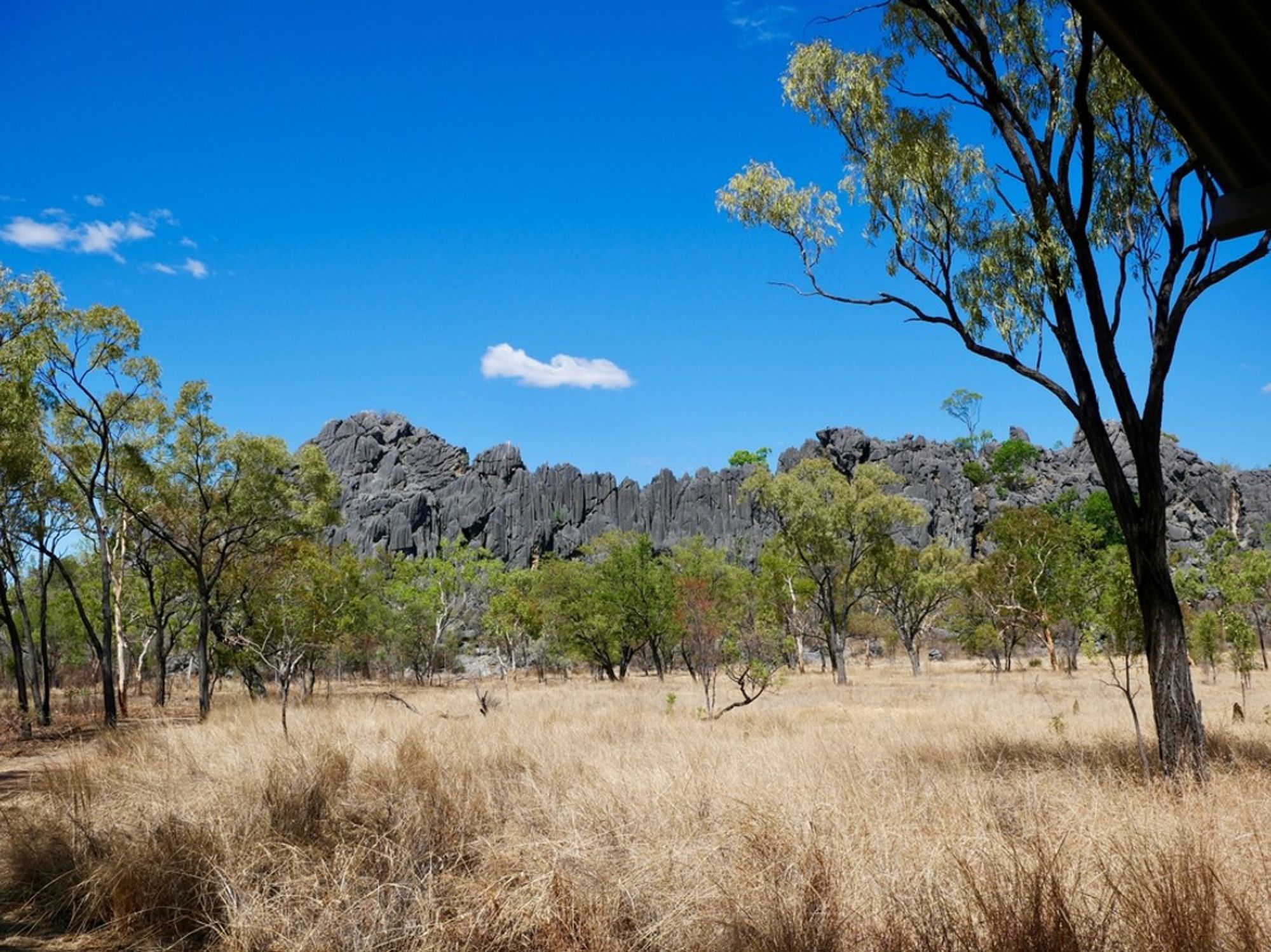 Rotsformaties en eucalyptusbomen in de Australische outback onder een heldere blauwe lucht.