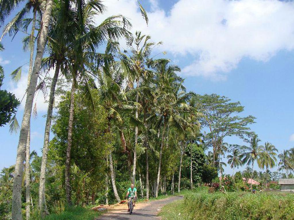 Fietser op een weg langs palmbomen en groen landschap op Java of Bali, Indonesië.