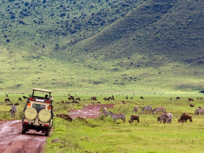 Safari-jeep in Ngorongoro-krater met grazende zebra’s en gnoes langs de route Kenia en Tanzania.
