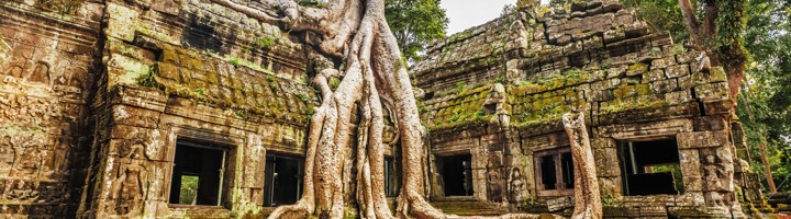 Ta Prohm-tempel bij Angkor, Cambodja, met enorme boomwortels die over de oude stenen muren groeien.