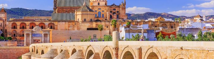 Mezquita-Catedral van Córdoba met de Romeinse brug over de Guadalquivir.