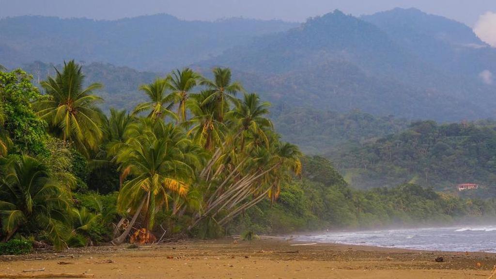 Nevelig regenwoudlandschap in Costa Rica tijdens een 22-35ers groepsrondreis.