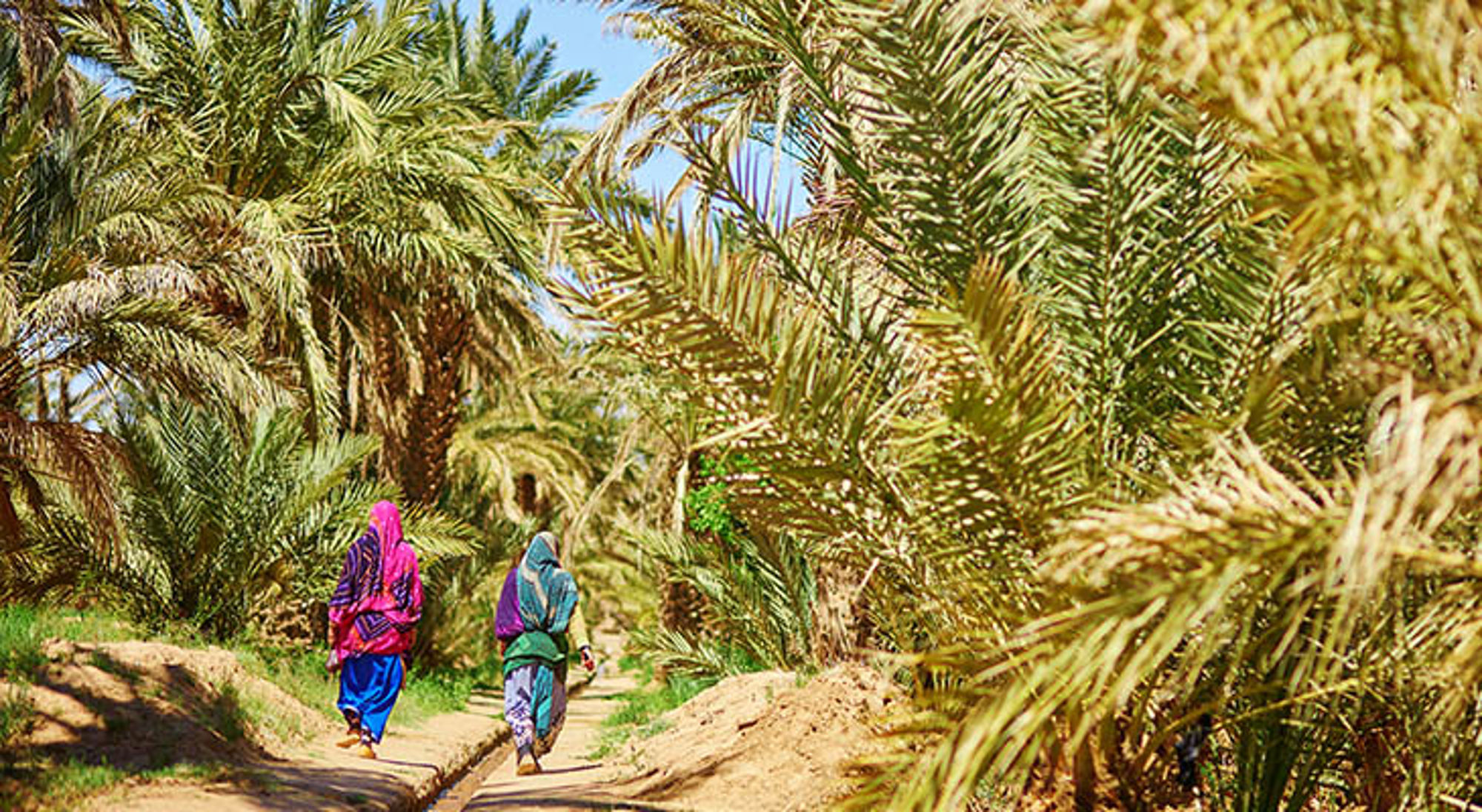 Twee vrouwen lopen over een pad door een palmoase in Marokko.