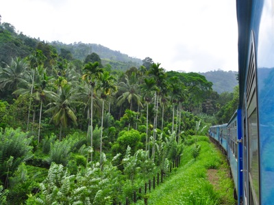 Blauwe treinrit door tropisch berglandschap met palmbomen in Sri Lanka.