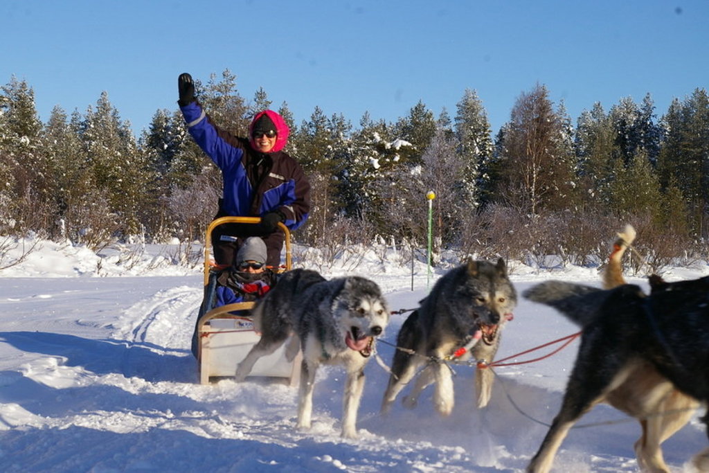 Hondensledetocht met gezin door de sneeuw in Lapland tijdens een winter familiereis.