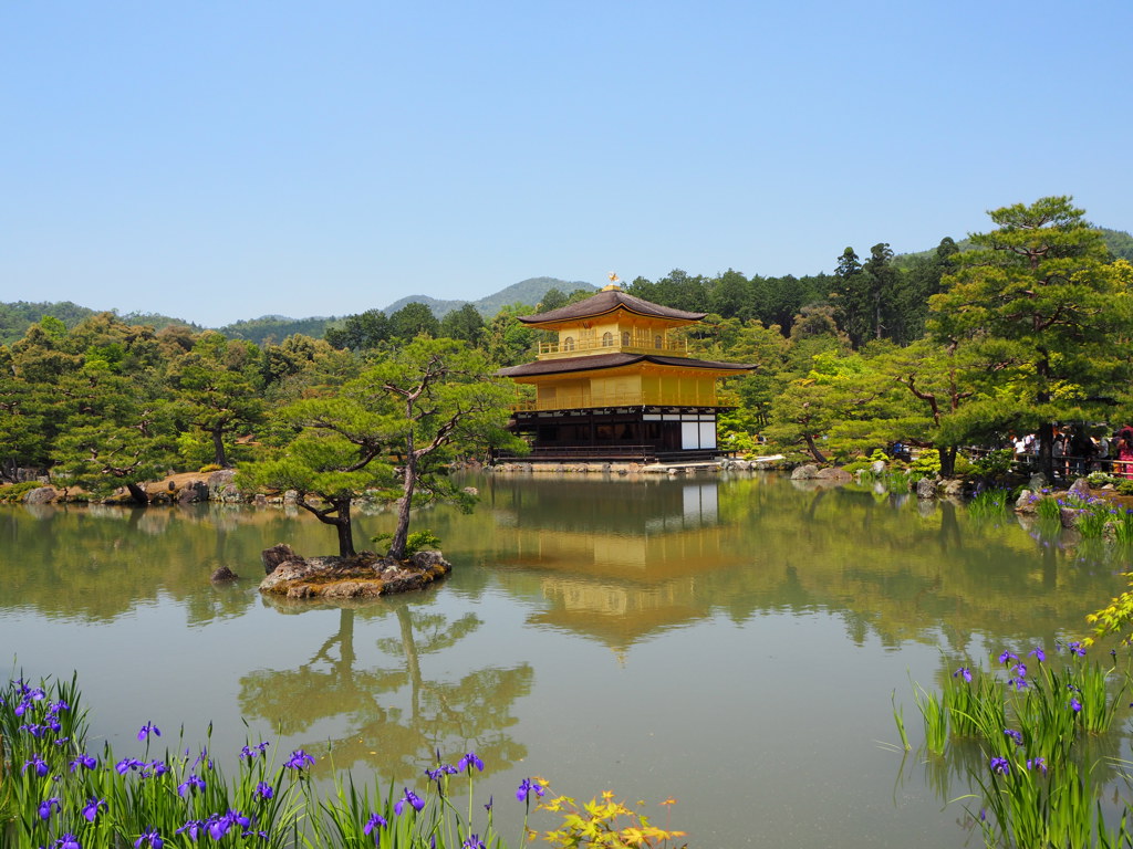 Gouden Paviljoen (Kinkaku-ji) in Kyoto weerspiegeld in de vijver, tijdens een groepsrondreis Japan.