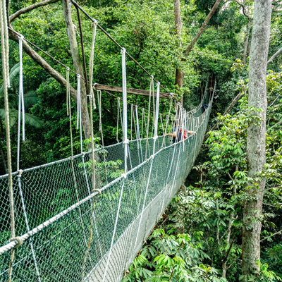 Hangbrug door dicht regenwoud tijdens groepsrondreis Singapore, Maleisië en Thailand.