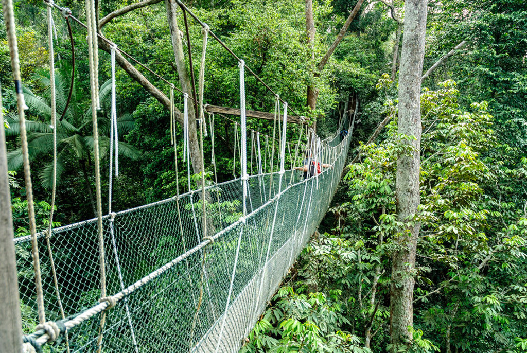 Hangbrug door dicht regenwoud tijdens groepsrondreis Singapore, Maleisië en Thailand.