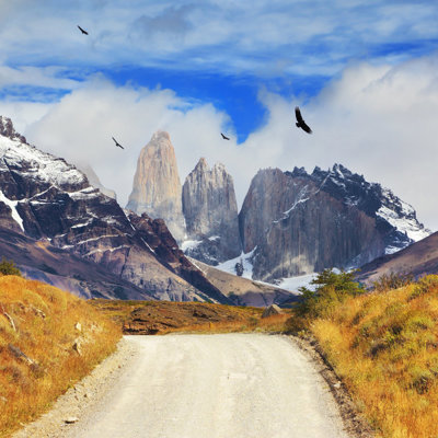 Wandelpad door Patagonië met uitzicht op de Torres del Paine-bergen en condors in de lucht.