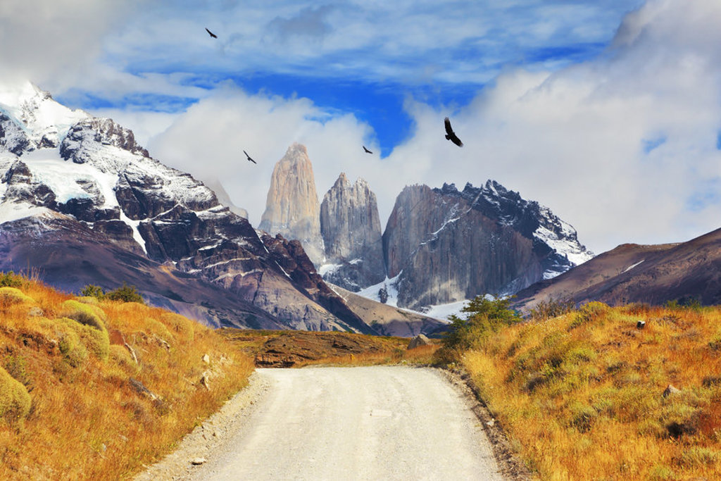 Wandelpad door Patagonië met uitzicht op de Torres del Paine-bergen en condors in de lucht.