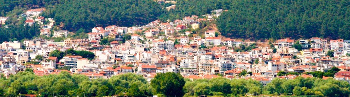 Uitzicht op Ioannina aan het Pamvotismeer, met huizen en groene heuvels op de achtergrond.