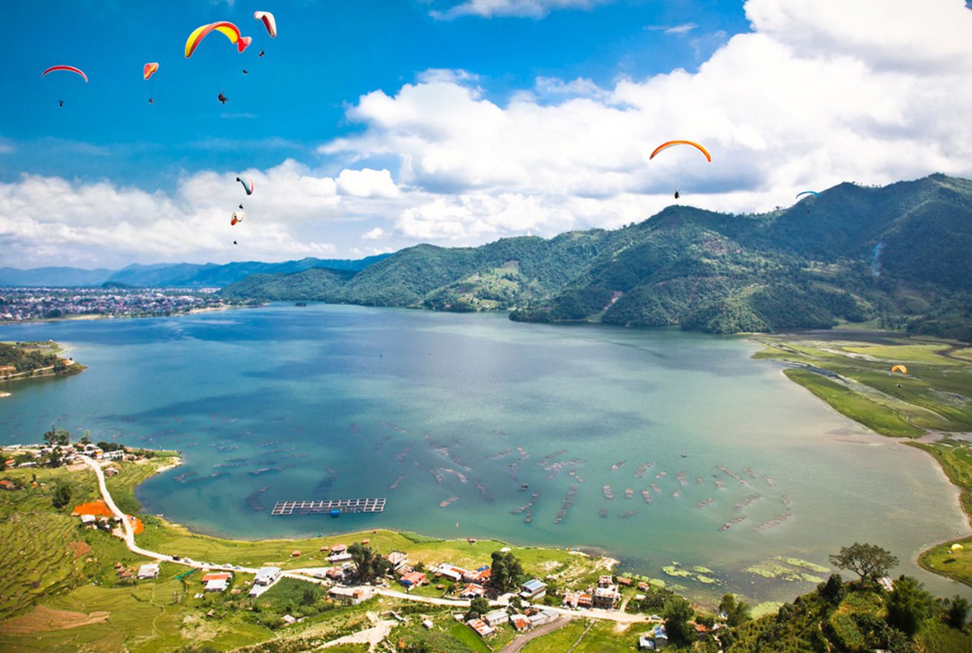 Paragliders boven het Phewa-meer bij Pokhara, met groene heuvels en een heldere blauwe lucht.