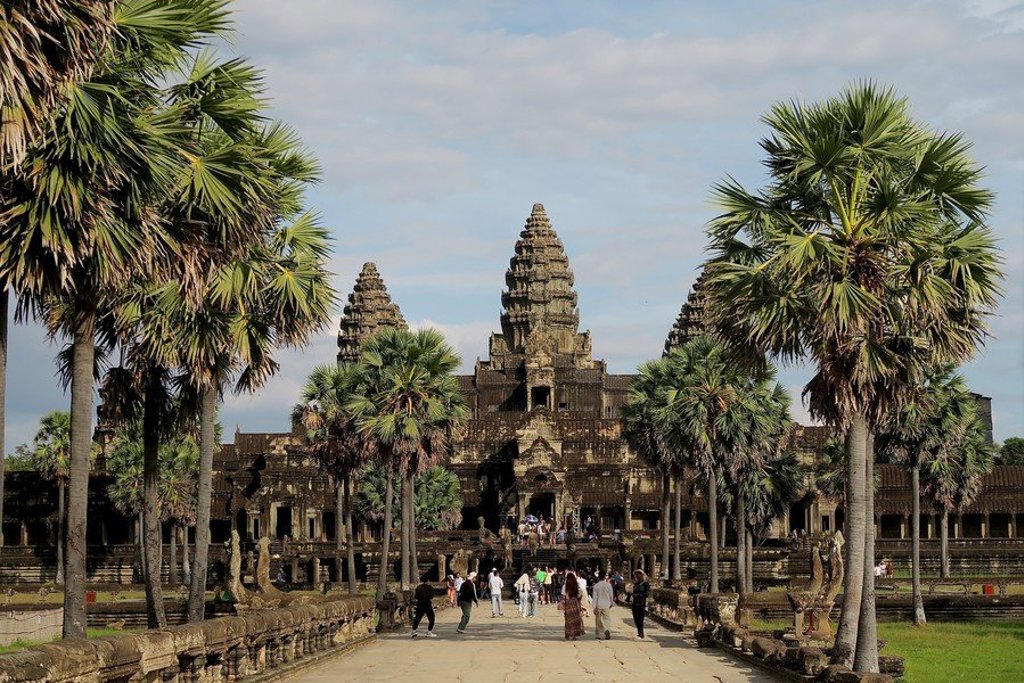 Palmbomen tegen een heldere lucht tijdens een 22-35ers reis door Thailand, Laos en Cambodja.