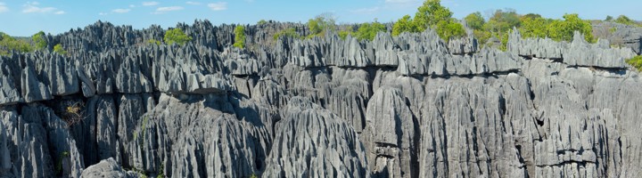 Karstlandschap met scherpe kalksteenpieken in Tsingy de Bemaraha, Madagaskar.