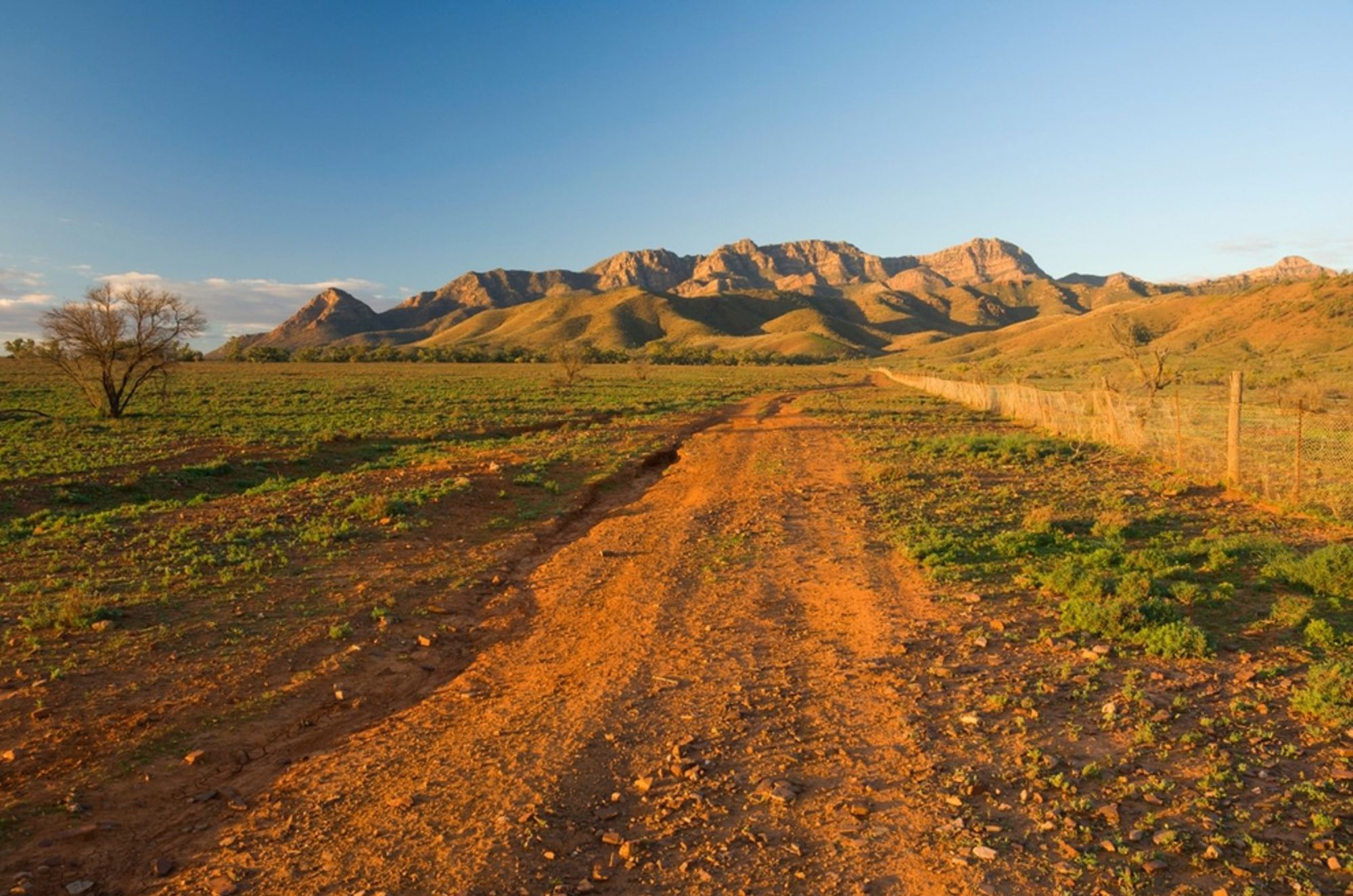 Rode onverharde weg door het Australische outbacklandschap met bergketen in de verte bij zonsondergang.