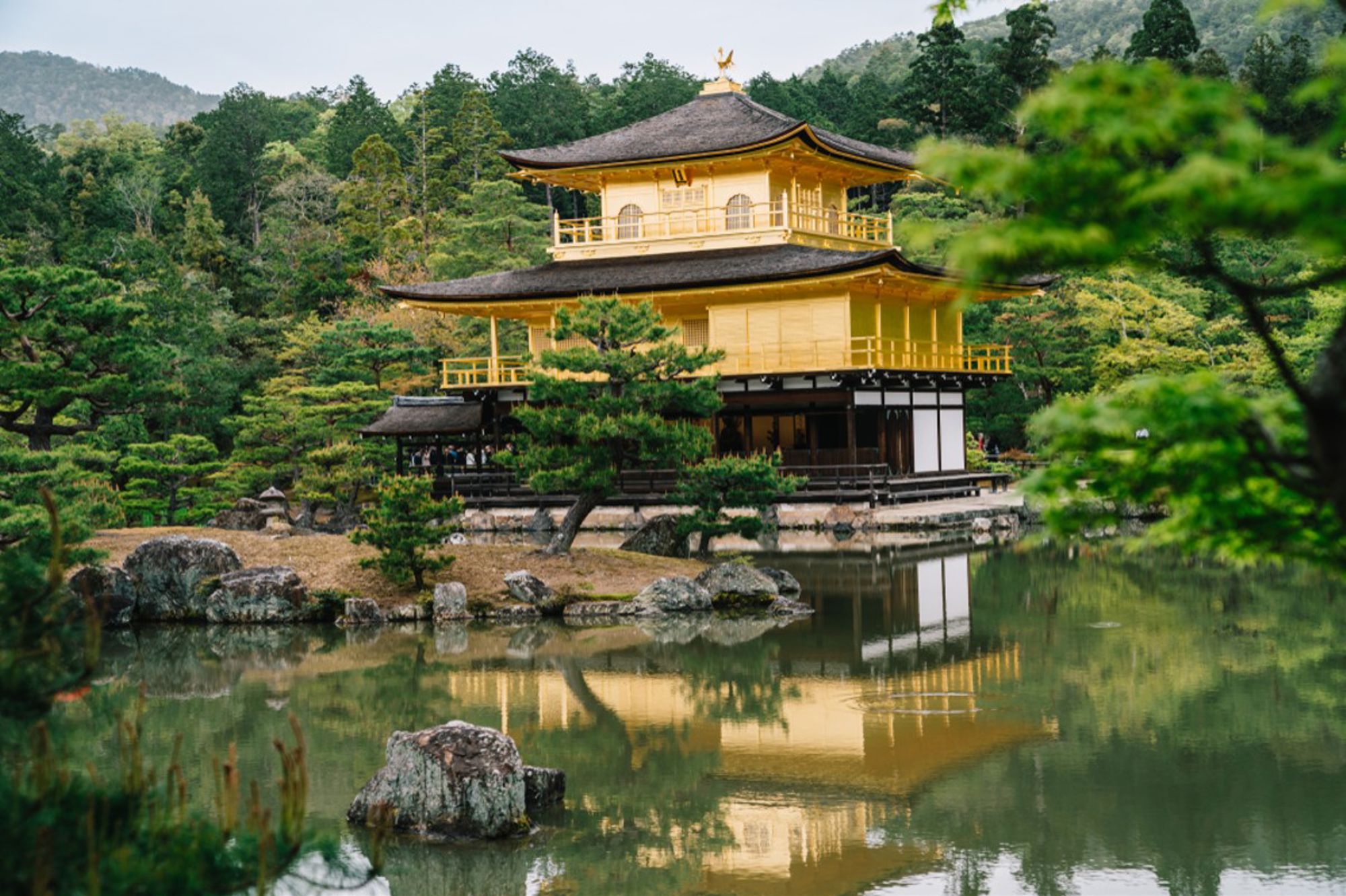 Gouden Paviljoen Kinkaku-ji in Kyoto, weerspiegeld in de vijver tussen groene bomen.