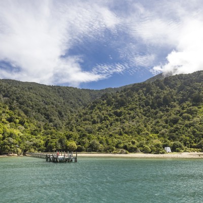 Groene fjorden en helder water in de Marlborough Sounds, Nieuw-Zeeland, met aanlegsteiger aan een rustig strand.