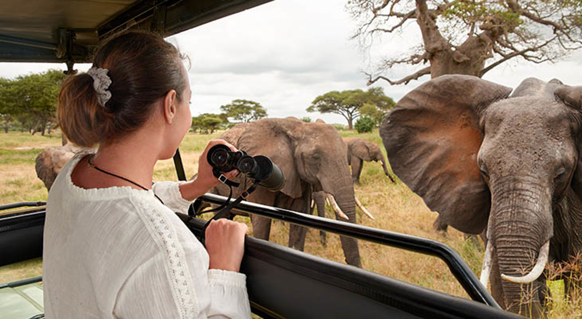 Safari in Tanzania: reiziger bekijkt olifanten vanuit een safarivoertuig met verrekijker.