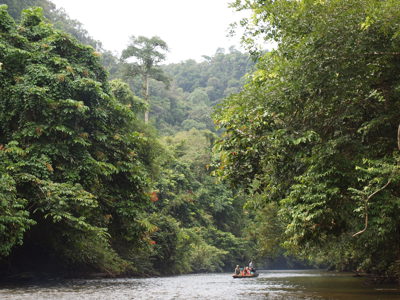 Boottocht over een rivier door het regenwoud op Maleisisch Borneo tijdens de familiereisroute.