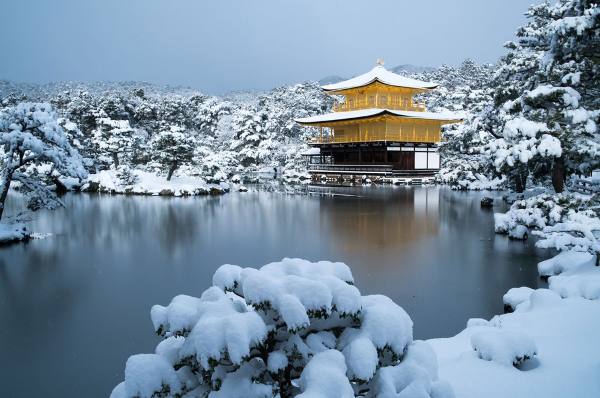 Kinkaku-ji (Gouden Paviljoen) in Kyoto, omringd door een besneeuwde tuin en vijver.