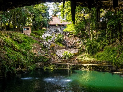 Groene cenote met helder water en rotswanden in de jungle, route familiereis Mexico.