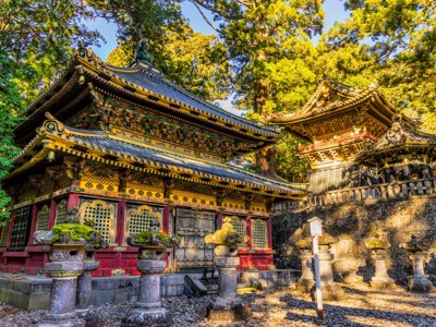 Rijk versierde tempelgebouwen bij Toshogu-schrijn in Nikko, omringd door hoge cederbomen.