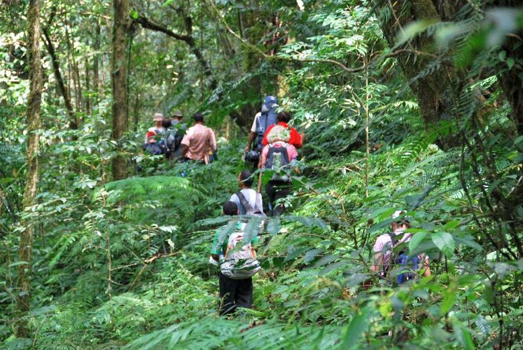 Wandelaars met rugzakken tijdens een jungletocht op de Kleine Sunda-eilanden, Indonesië.