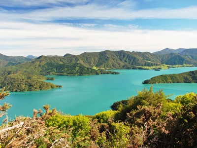 Uitzicht over de Marlborough Sounds met turquoise water en groene heuvels in Nieuw-Zeeland.