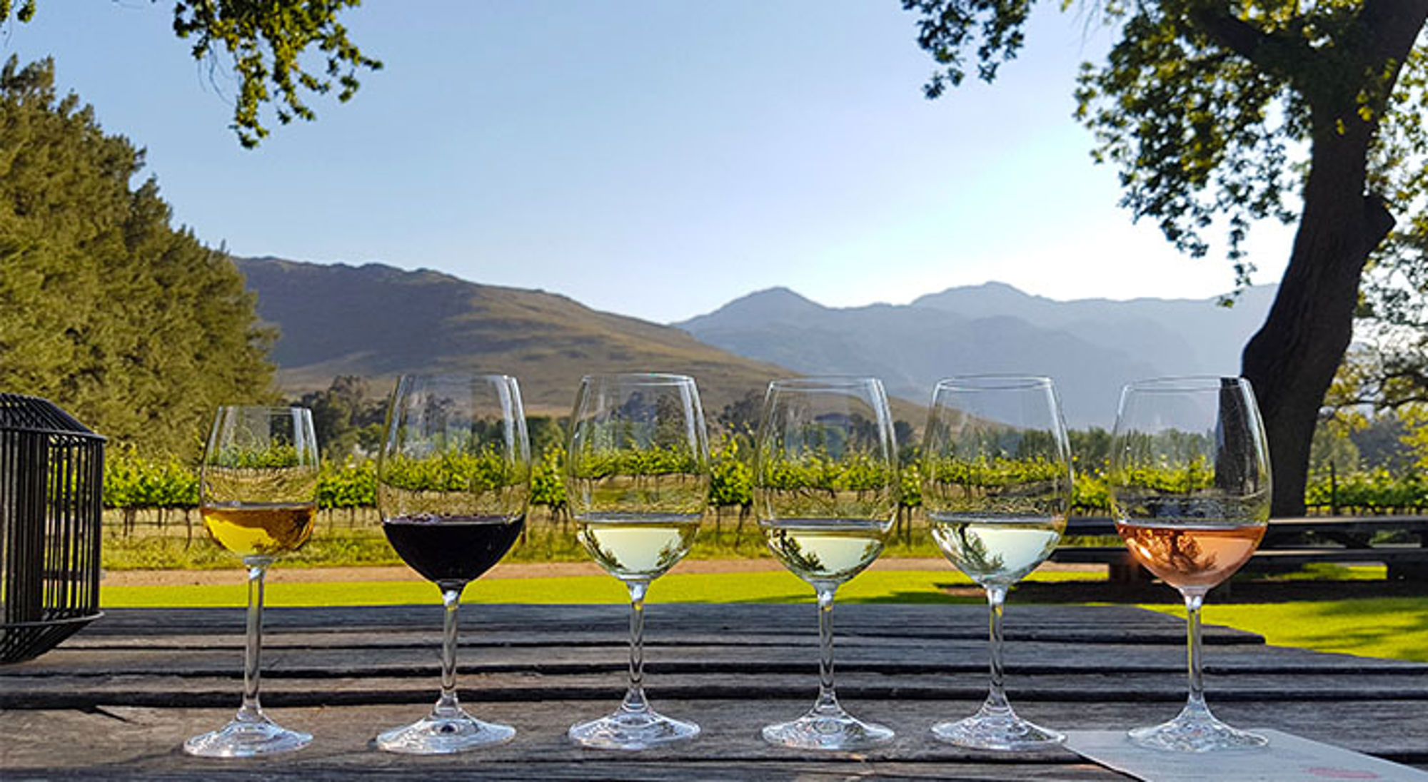 Wijn in Franschhoek Wijnproeverij met zes wijnglazen op een tafel, met wijngaarden en bergen op de achtergrond in Zuid-Afrika.