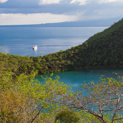 Uitzicht over een baai op de Galapagoseilanden met een cruiseschip op zee en groene heuvels op de voorgrond.