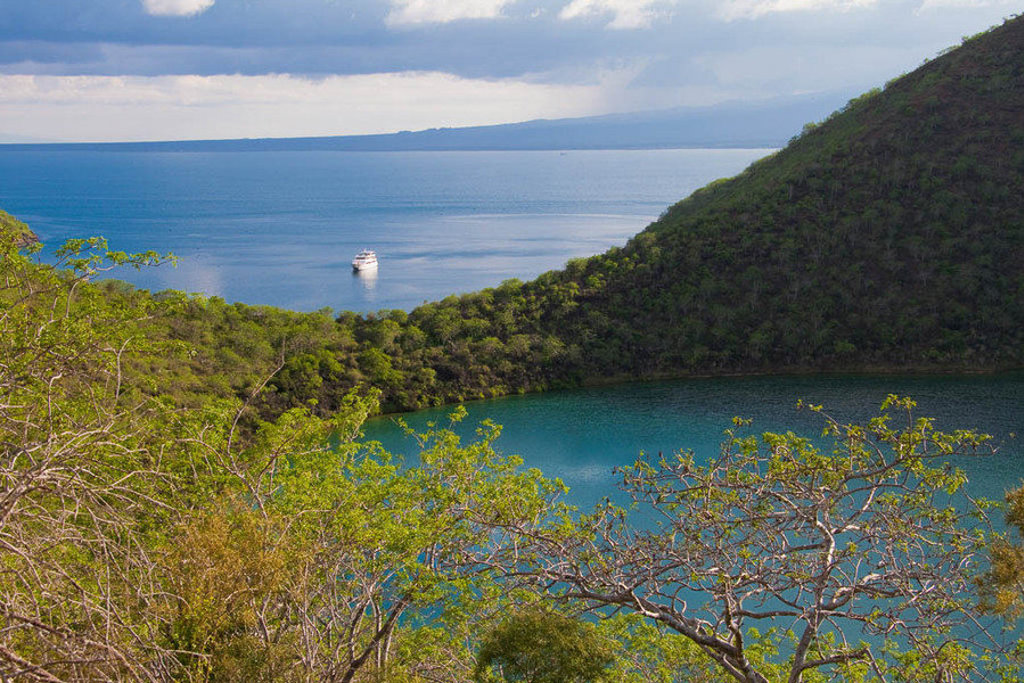 Uitzicht over een baai op de Galapagoseilanden met een cruiseschip op zee en groene heuvels op de voorgrond.