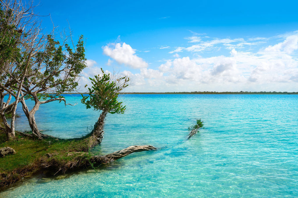 Turquoise lagune met mangrovebomen en helderblauwe lucht tijdens een 22-35ers reis Mexico.