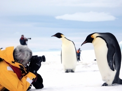 Reiziger fotografeert keizerspinguïns op het ijs tijdens de Antarctica-rondreis.