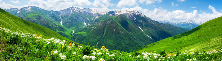 Groene bergweiden met wilde bloemen en besneeuwde bergtoppen in Georgië.