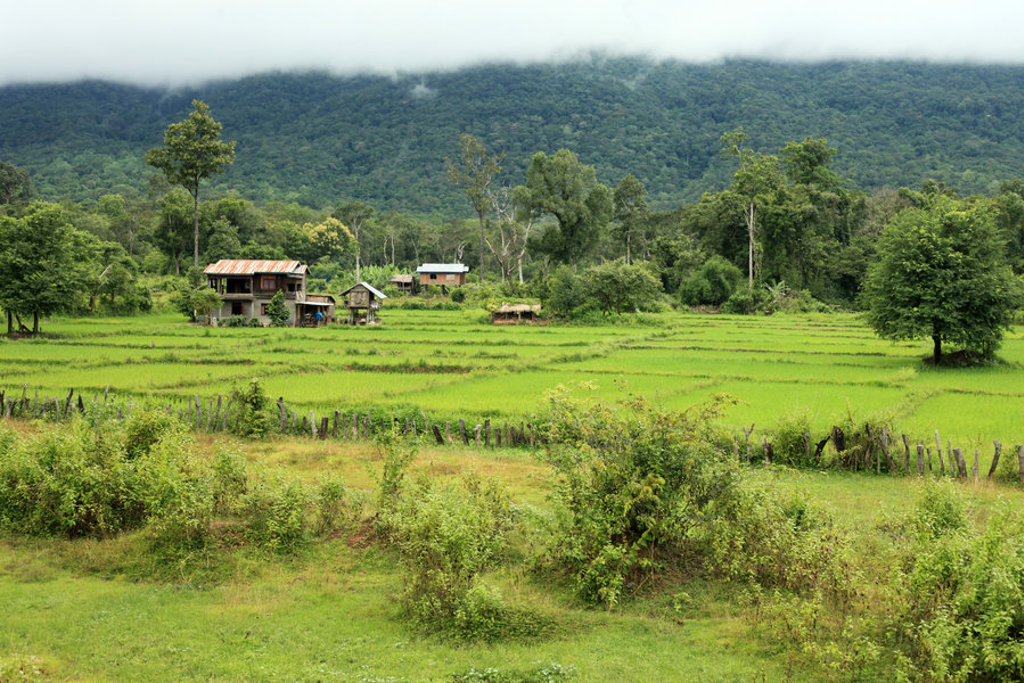 Groene rijstvelden met dorp en beboste bergen in Laos, tijdens groepsrondreis Laos en Cambodja.