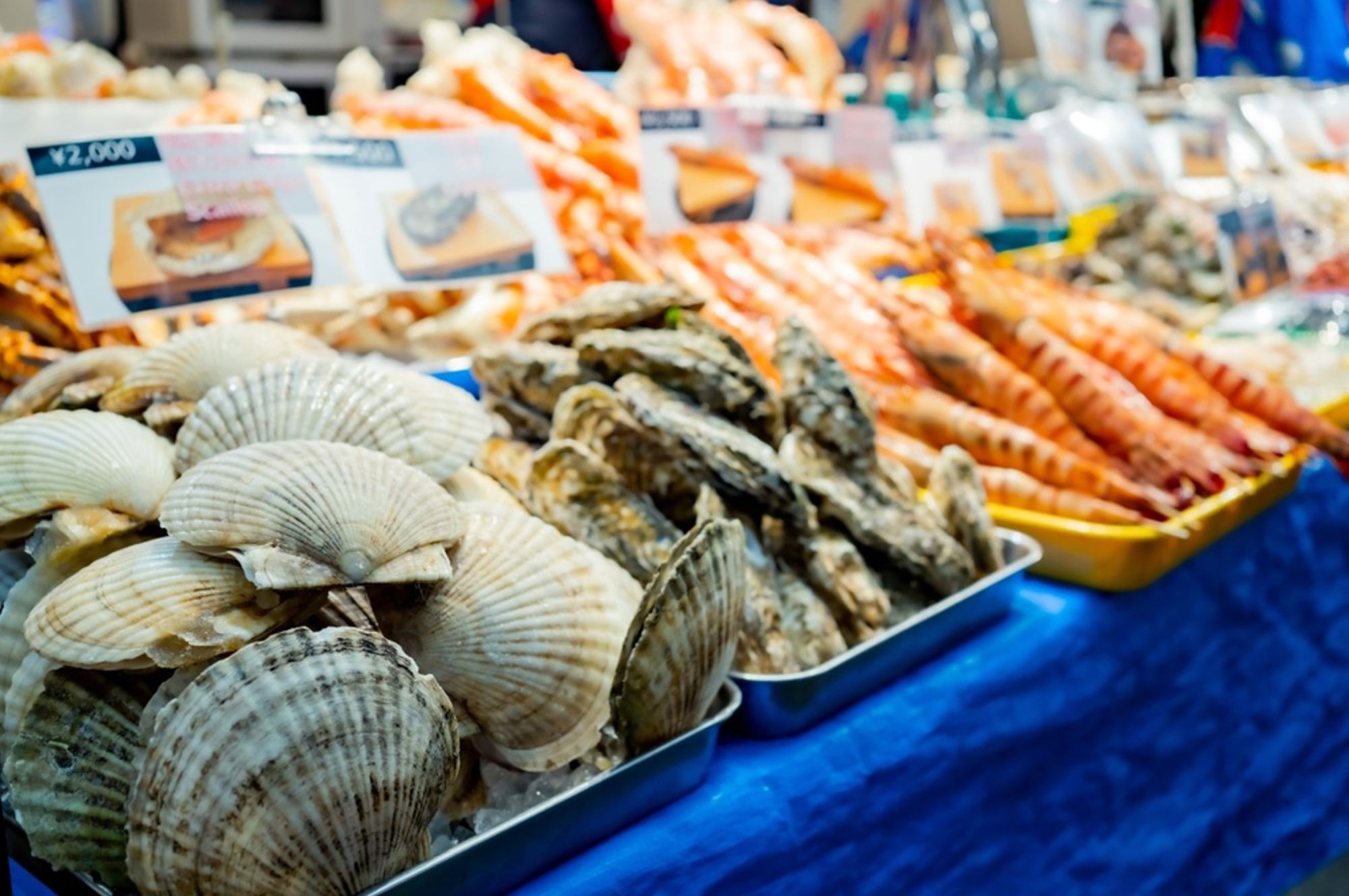 Verse schelpdieren, oesters en garnalen op een Japanse vismarkt met prijskaartjes.